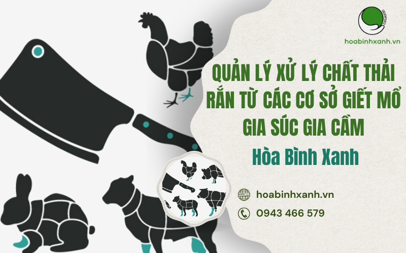 QUẢN LÝ VÀ XỬ LÝ CHẤT THẢI RẮN TỪ CÁC CƠ SỞ GIẾT MỔ GIA SÚC GIA CẦM
