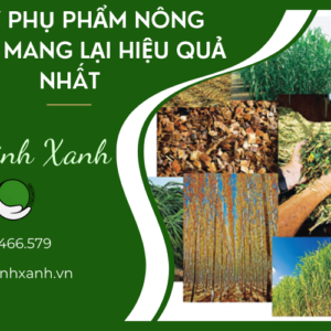 XỬ LÝ PHỤ PHẨM NÔNG NGHIỆP MANG LẠI HIỆU QUẢ NHẤT