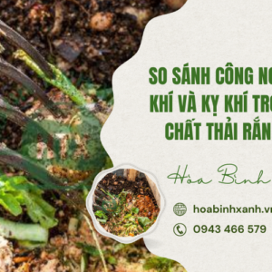 SO SÁNH CÔNG NGHỆ Ủ HIẾU KHÍ VÀ KỴ KHÍ TRONG XỬ LÝ CHẤT THẢI RẮN HỮU CƠ