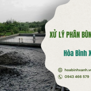 XỬ LÝ PHÂN BÙN BỂ PHỐT AN TOÀN HỆU QUẢ