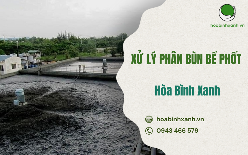 XỬ LÝ PHÂN BÙN BỂ PHỐT AN TOÀN HỆU QUẢ