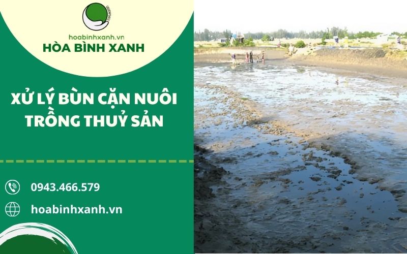 GIẢI PHÁP XỬ LÝ BÙN THẢI NUÔI TRỒNG THỦY SẢN