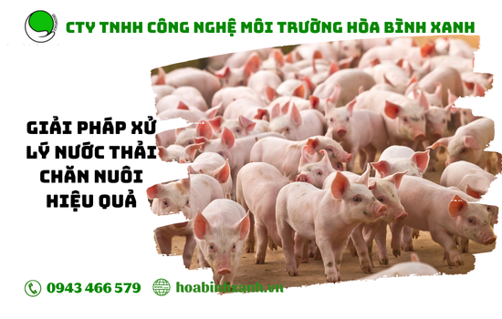 Nước thải chăn nuôi Nước thải chăn nuôi