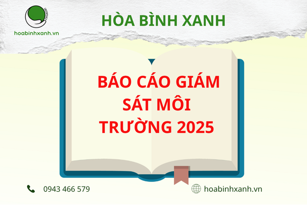BÁO CÁO GIÁM SÁT MÔI TRƯỜNG 2025