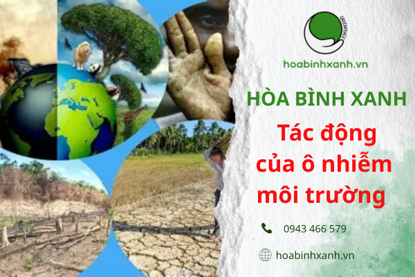 Tác động của ô nhiễm môi trường