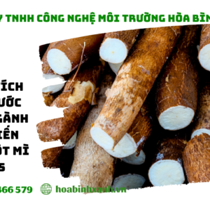 Phân tích mẫu nước thải sản xuất tinh bột mì