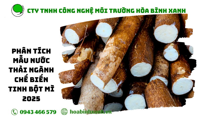 Phân tích mẫu nước thải sản xuất tinh bột mì