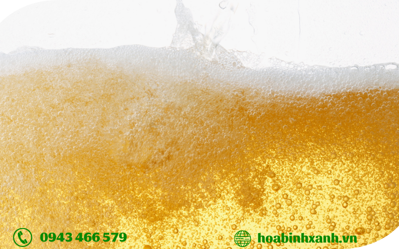 Phân tích mẫu nước thải ngành sản xuất bia Phân tích mẫu nước thải ngành sản xuất bia