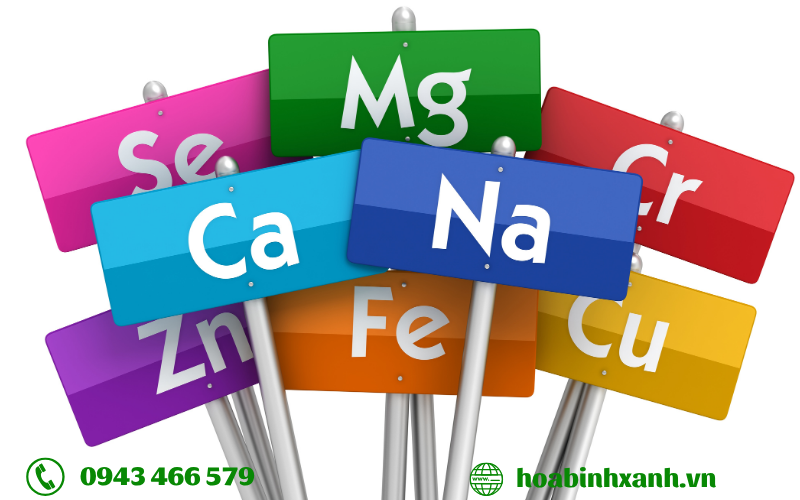 Phân tích mẫu nước thải ngành chế biến khoáng sản Phân tích mẫu nước thải ngành chế biến khoáng sản