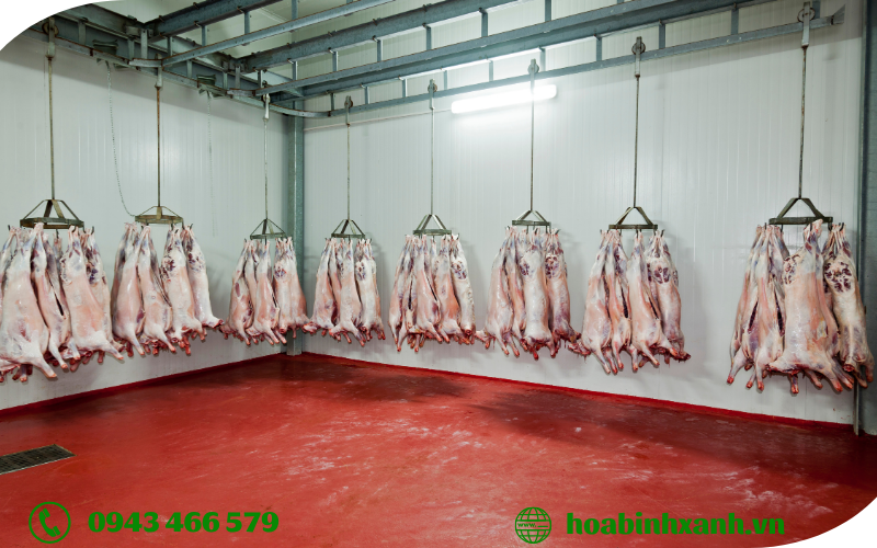 Phân tích mẫu nước thải giết mổ Phân tích mẫu nước thải giết mổ