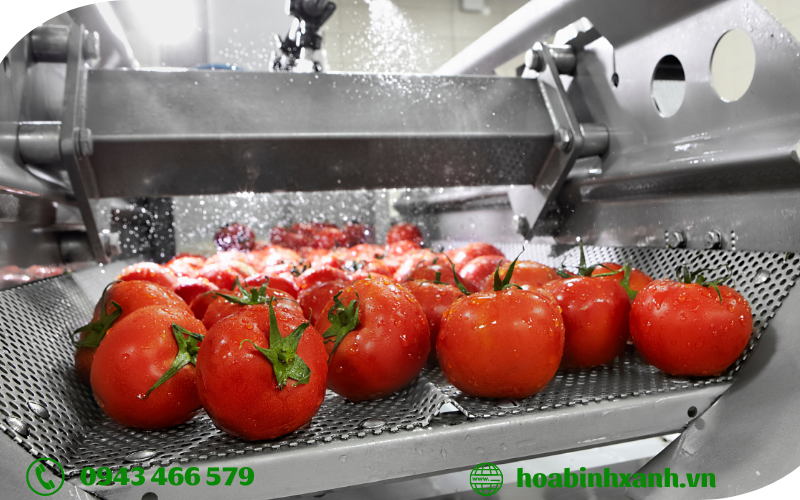 Phân tích mẫu nước thải ngành chế biến thực phẩm Phân tích mẫu nước thải ngành chế biến thực phẩm