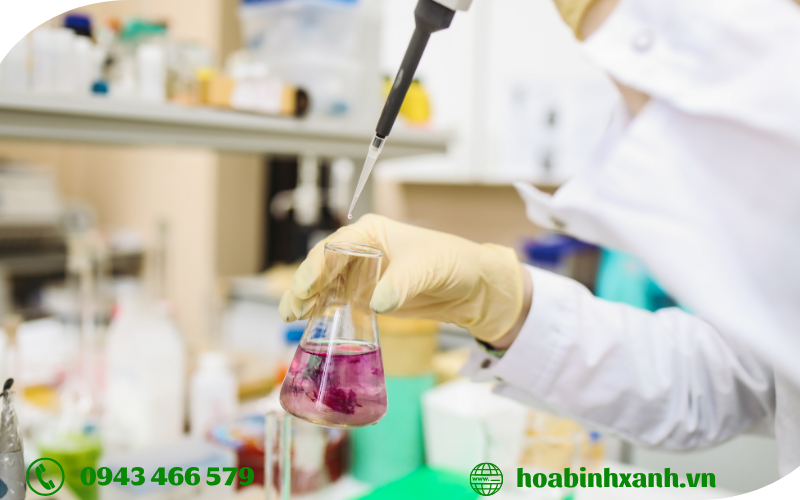 Phân tích môi trường là gì? Phân tích môi trường là gì?