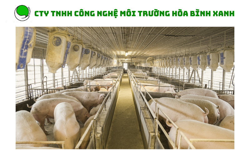 Phân tích mẫu nước thải chăn nuôi heo Phân tích mẫu nước thải chăn nuôi heo