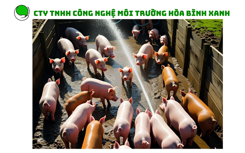 Phân tích mẫu nước thải chăn nuôi heo Phân tích mẫu nước thải chăn nuôi heo