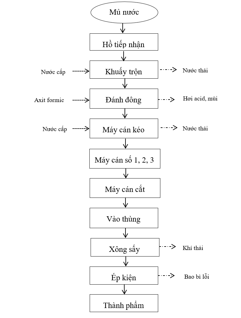 Quy trình chế biến mủ cao su cốm Quy trình chế biến mủ cao su cốm