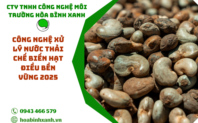 Xử lý nước thải chế biến hạt điều bền vững