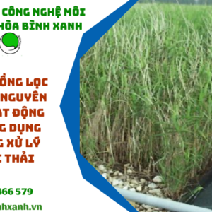 Cánh đồng lọc là gì? Nguyên lý hoạt động và ứng dụng trong xử lý nước thải