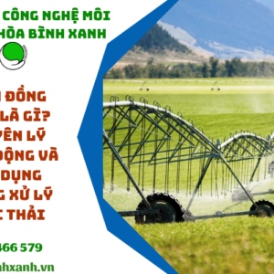Cánh đồng tưới là gì? Nguyên lý hoạt động và ứng dụng trong xử lý nước thải