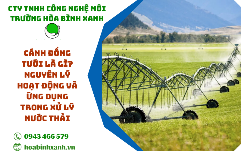Cánh đồng tưới là gì? Nguyên lý hoạt động và ứng dụng trong xử lý nước thải