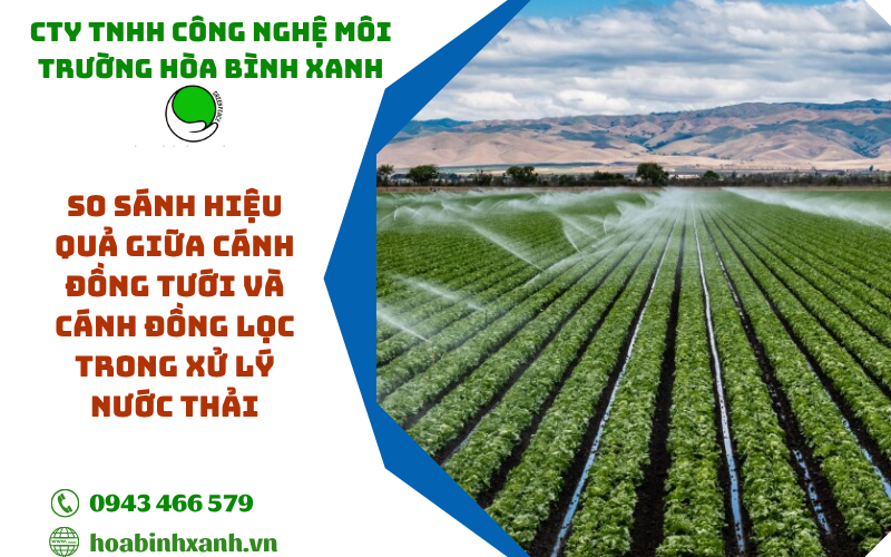 So sánh hiệu quả giữa cánh đồng tưới và cánh đồng lọc