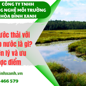 Xử lý nước thải với đất ngập nước là gì? Nguyên lý và ưu nhược điểm