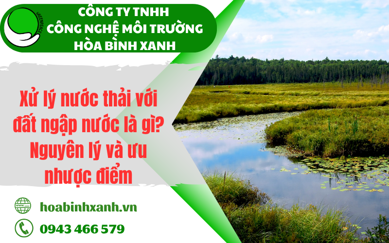 Xử lý nước thải với đất ngập nước là gì? Nguyên lý và ưu nhược điểm