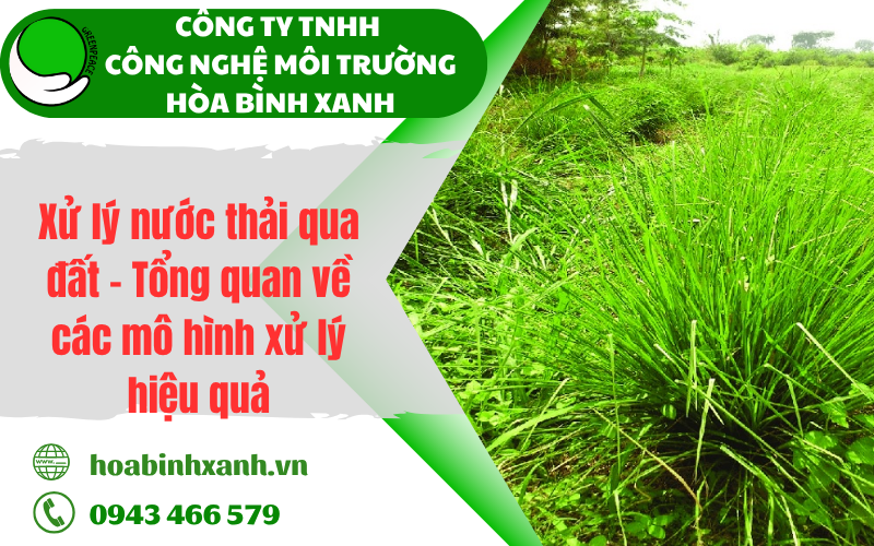 Xử lý nước thải qua đất - Tổng quan về các mô hình xử lý hiệu quả