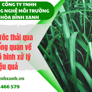 Top 5 loại thực vật xử lý nước thải thường được ứng dụng