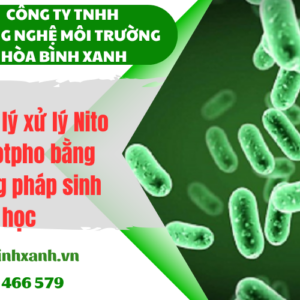Nguyên lý xử lý Nito và photpho bằng phương pháp sinh học