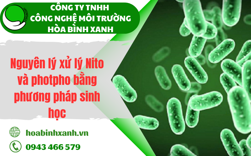 Nguyên lý xử lý Nito và photpho bằng phương pháp sinh học
