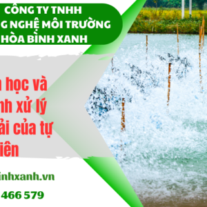 Hồ sinh học và quá trình xử lý nước thải của tự nhiên