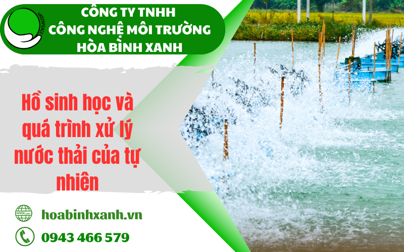 Hồ sinh học và quá trình xử lý nước thải của tự nhiên
