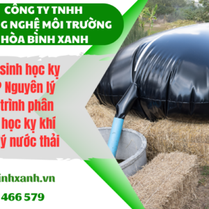 Phân hủy sinh học kỵ khí là gì? Nguyên lý của quá trình phân hủy sinh học kỵ khí trong xử lý nước thải