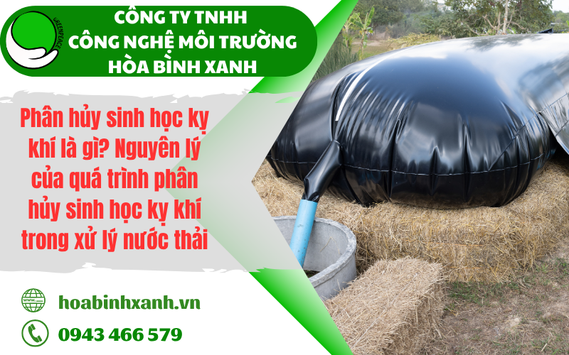 Phân hủy sinh học kỵ khí là gì? Nguyên lý của quá trình phân hủy sinh học kỵ khí trong xử lý nước thải
