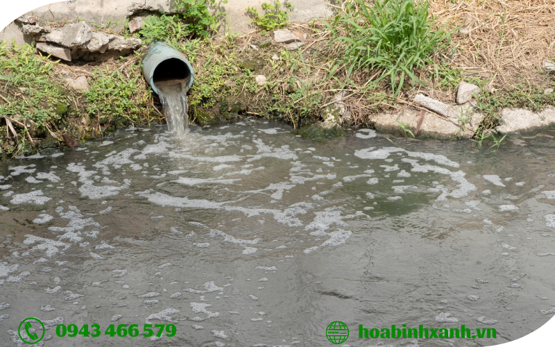 Kỹ thuật lấy mẫu trong phân tích môi trường Kỹ thuật lấy mẫu trong phân tích môi trường