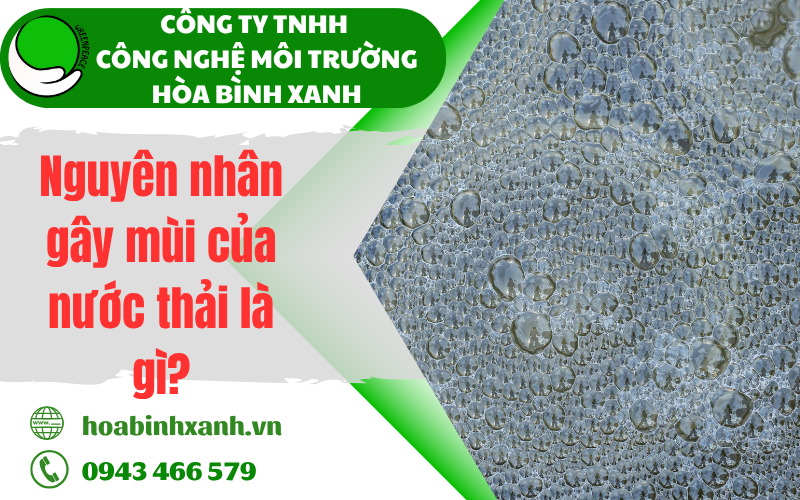 Nguyên nhân gây mùi của nước thải là gì?