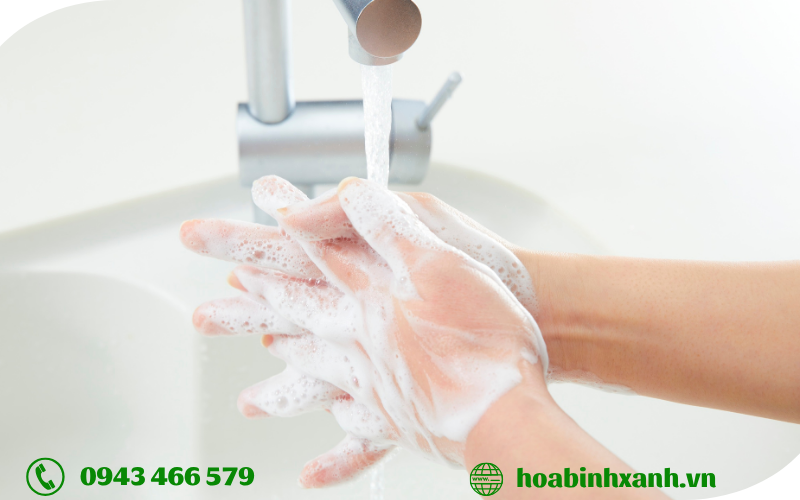 Nguồn phát sinh chất hoạt động bề mặt Nguồn phát sinh chất hoạt động bề mặt
